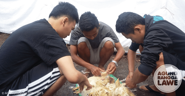 ayo cabuti semua bulu ayamnya!