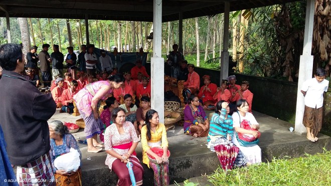 para penduduk dan keluarga yang ikut menyaksikan upacara ngaben