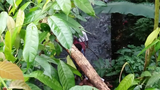 sungai yang berada di bawah jembatan