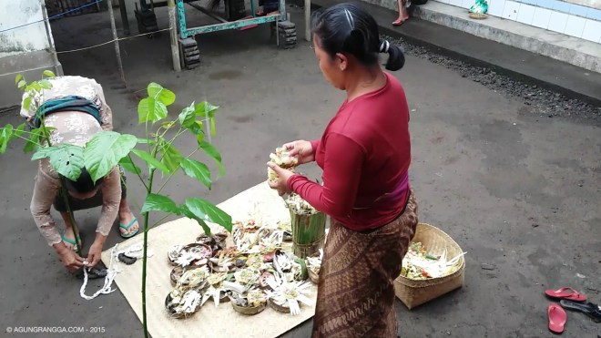 sajen dengan batang pohon dapdap