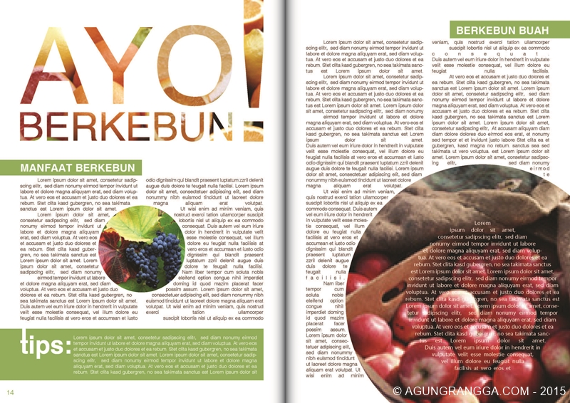 belajar membuat layout majalah di Adobe Indesign