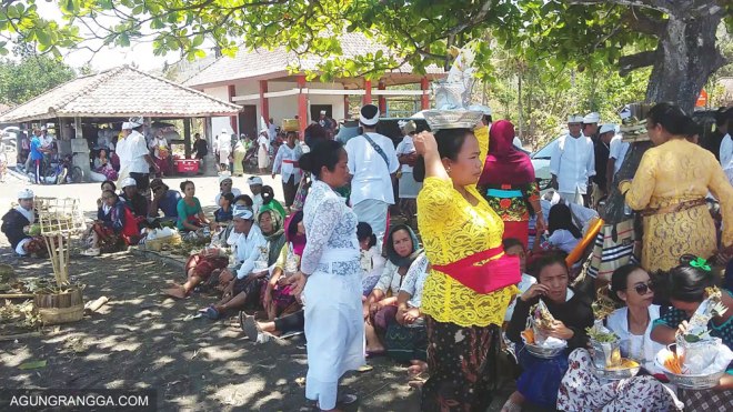 duduk di bawah pohon