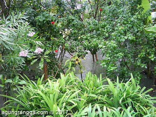 banjirnya lumayan loh