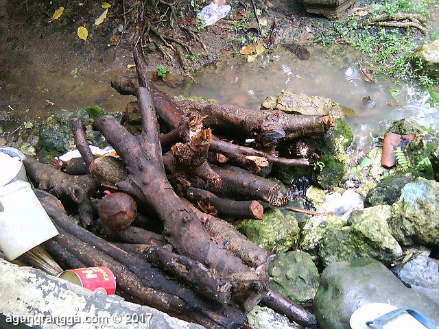 persediaan kayu bakar yang basah