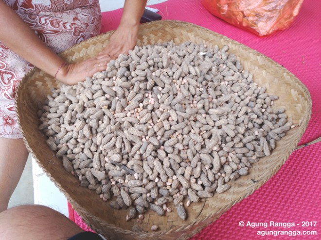 rumpi sambil mengupas kacang