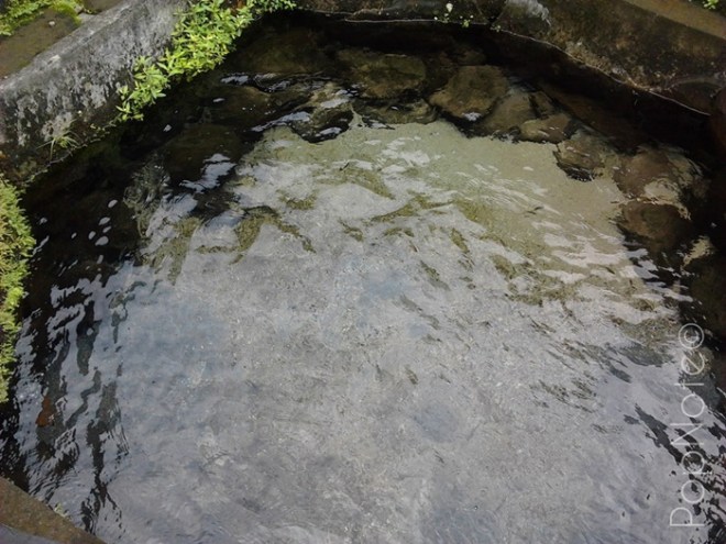 sumber mata air untuk tirta - Pura Suranadi, Lombok