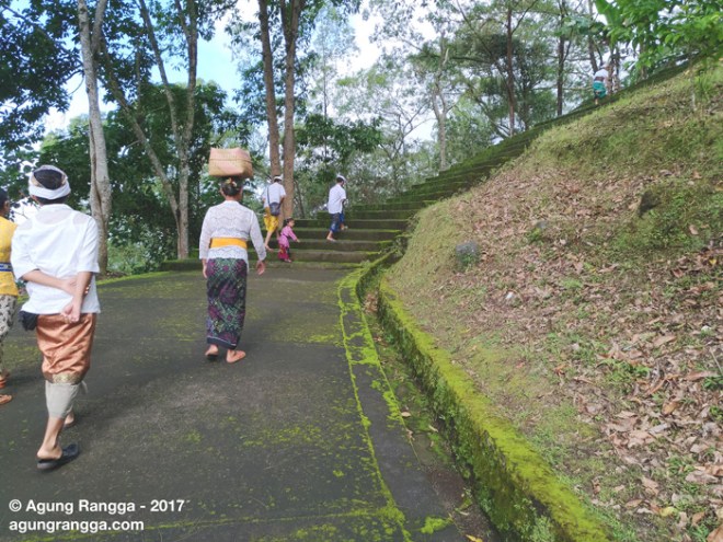 tangga yang dikelilingi pemandangan indah