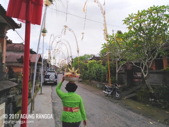 jalan desa yang dihiasi penjor