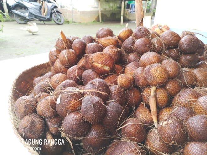 oleh-oleh salak Bali